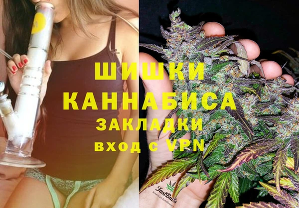 шишки Абдулино