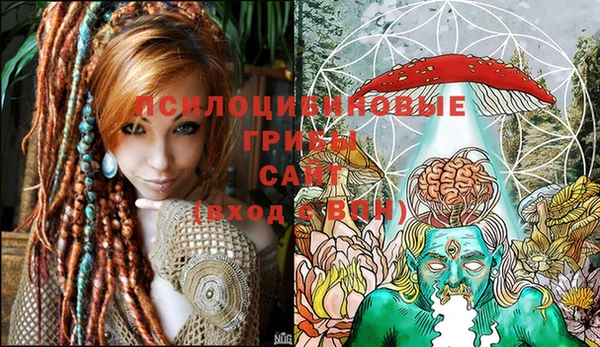 соль ск Абинск